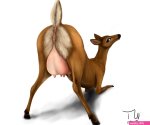Rule 34