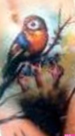 Tattooing your genitalia NSFW pics