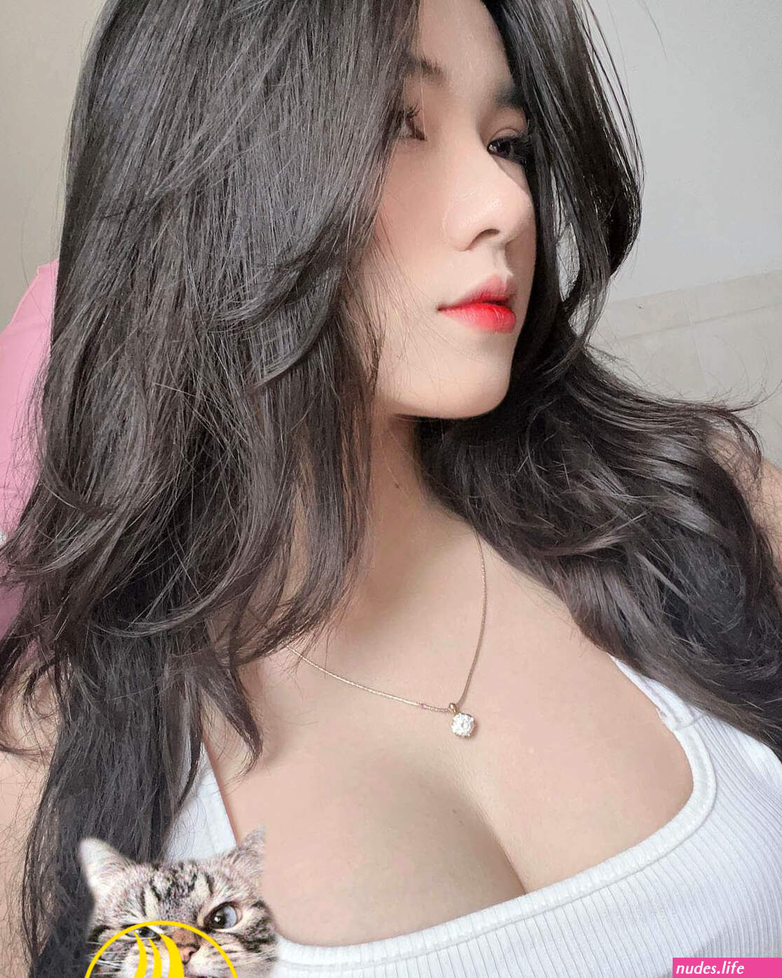 Sex vn 2k5