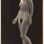 Jean-Marie Auradon
