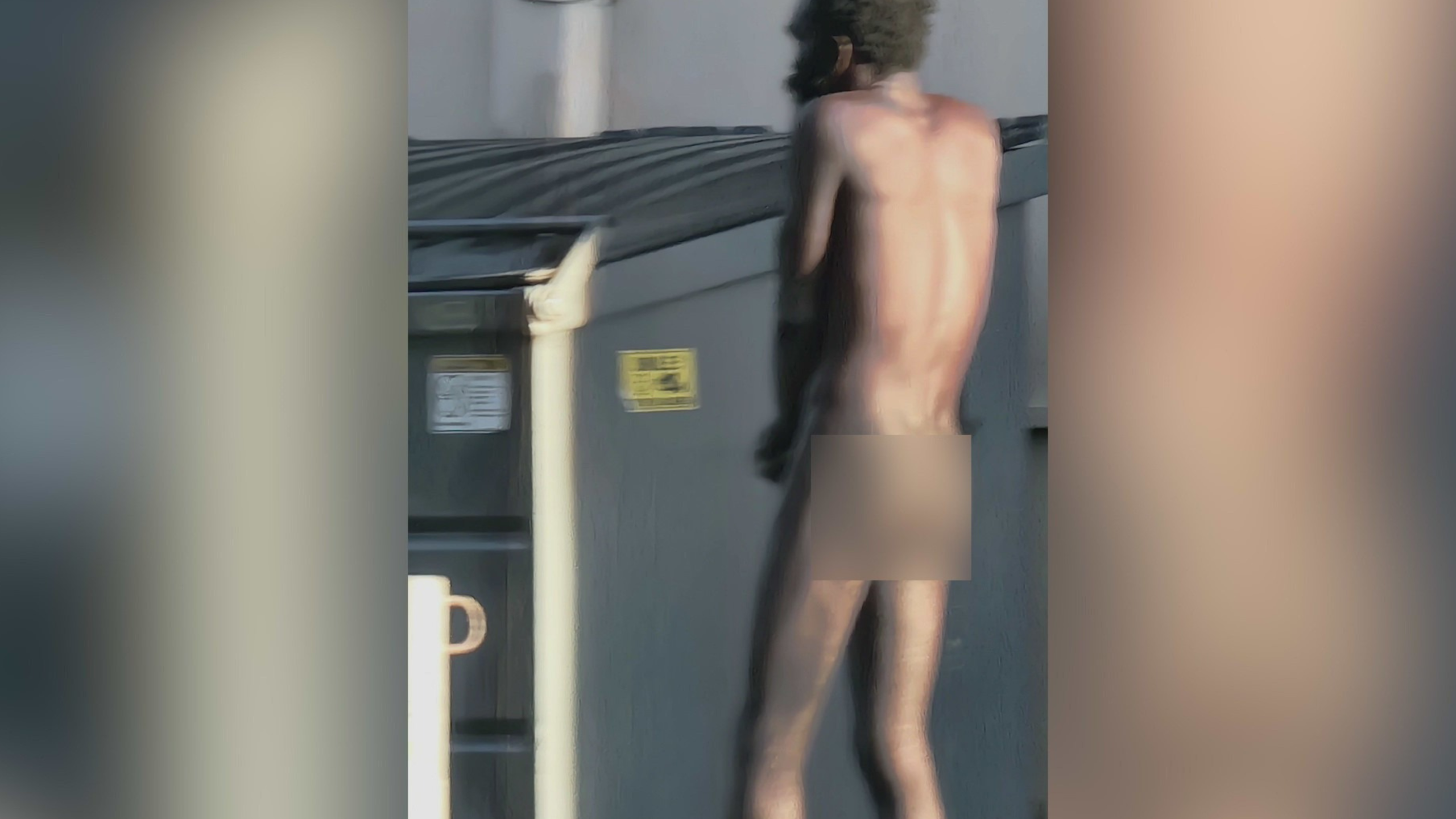 Naked hollywood 3