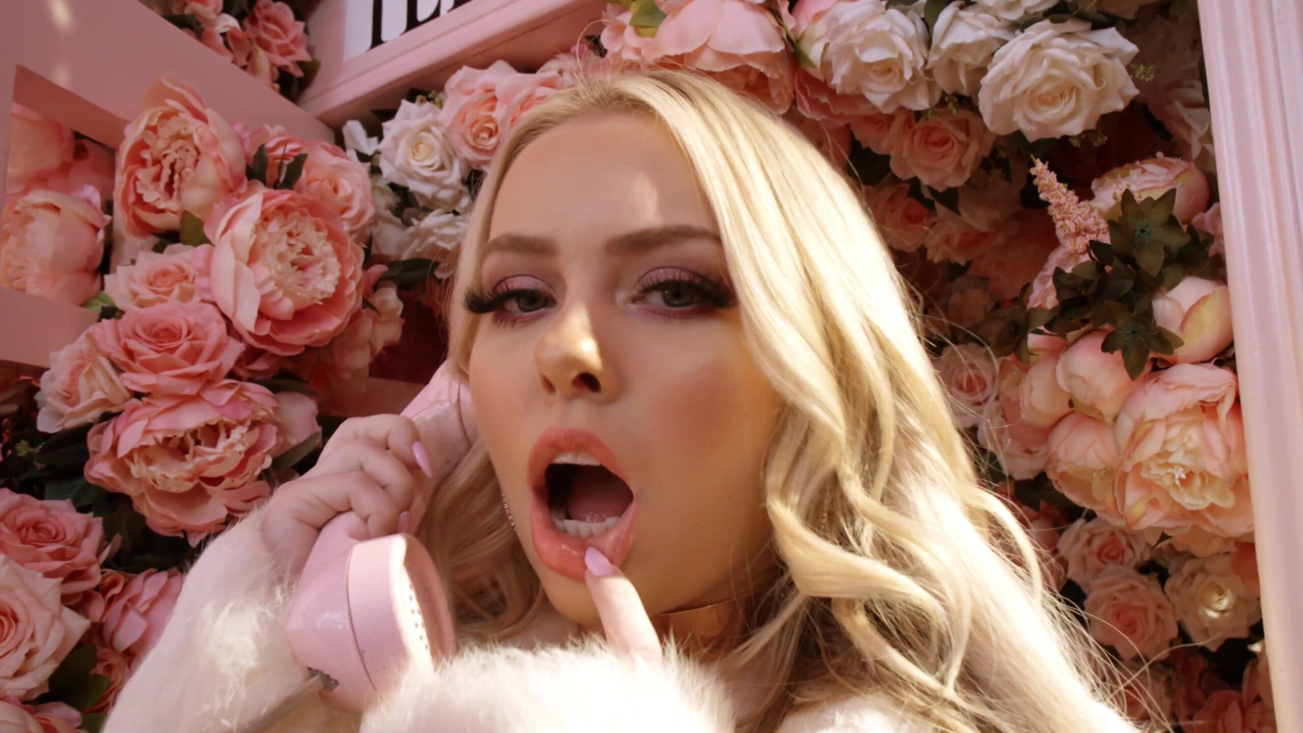Haleys spades anal