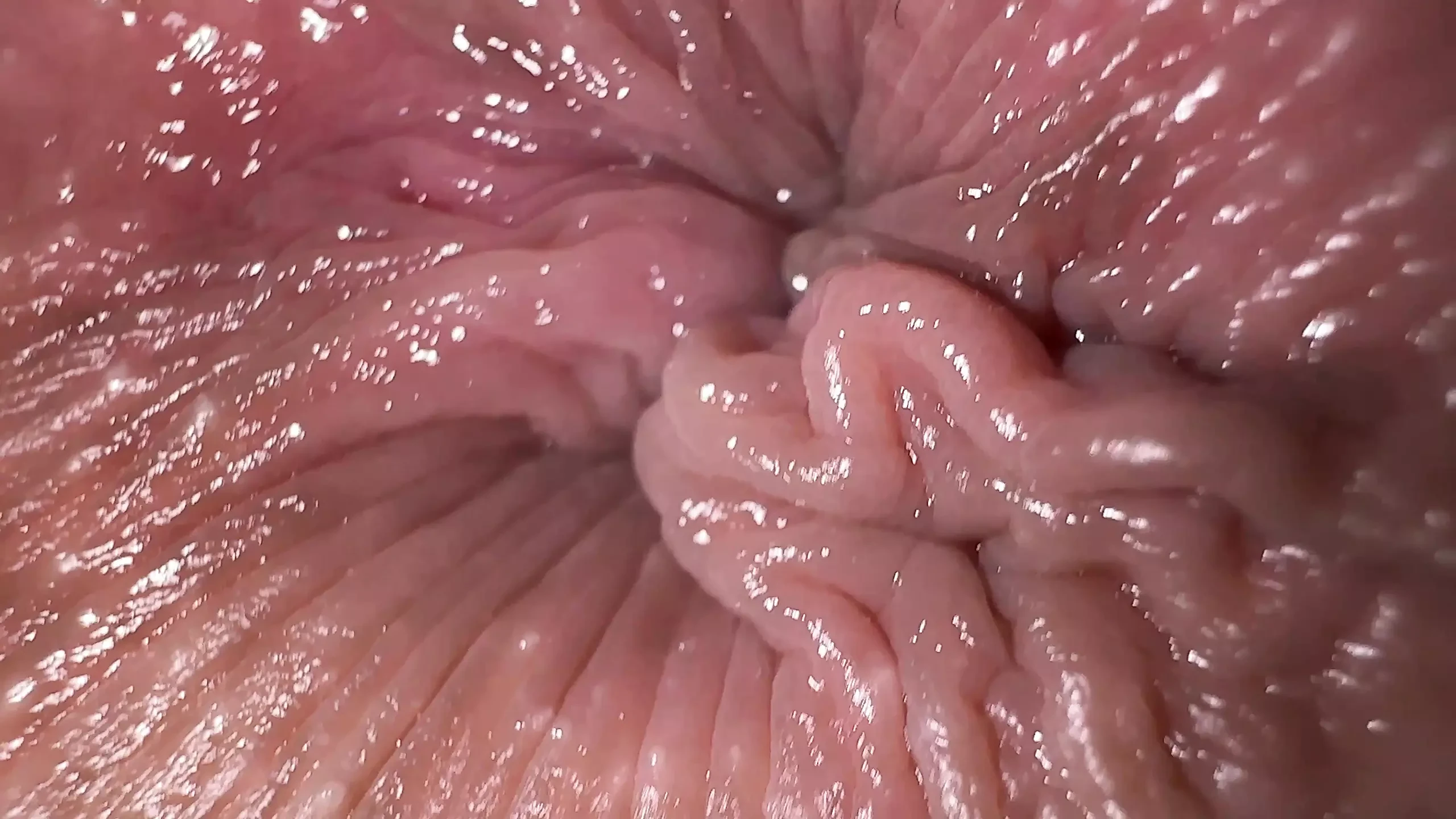 Ass fingering masturbation