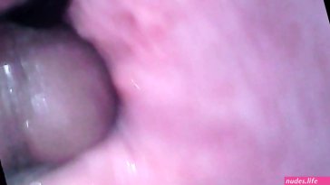 Endoscope inside pussy
