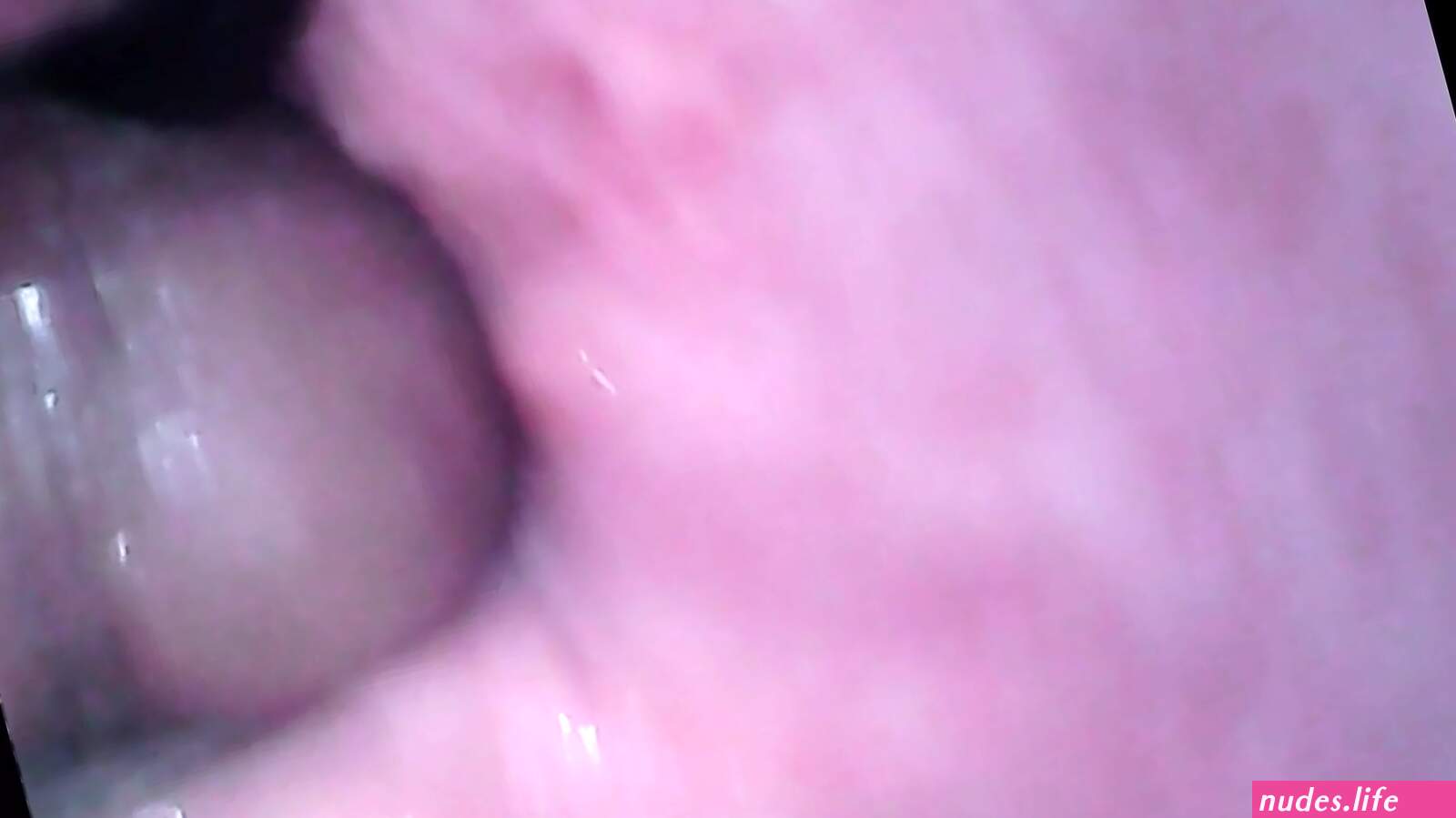 Endoscope inside pussy