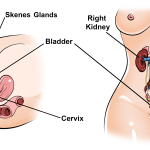 How to Squirt: A Step-by-Step Guide for Women